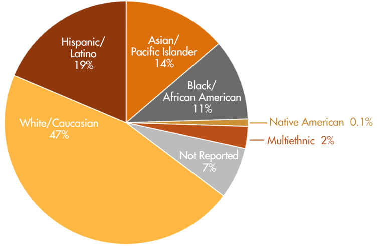 ethnicity-pie-chart-percentages-768x492