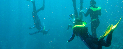 Students scuba-dive in Australia