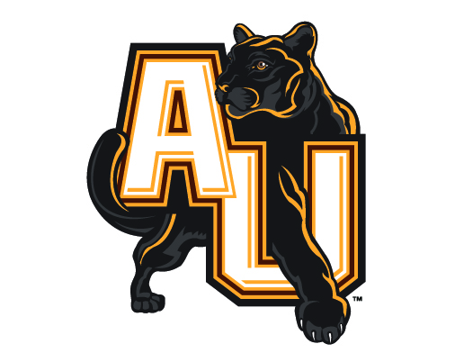 New Director of Athletics Announced for Adelphi Panthers