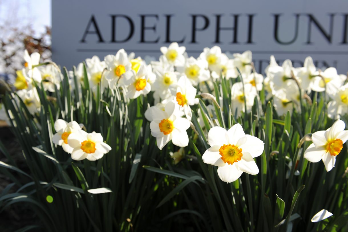 Garden City Campus Adelphi University