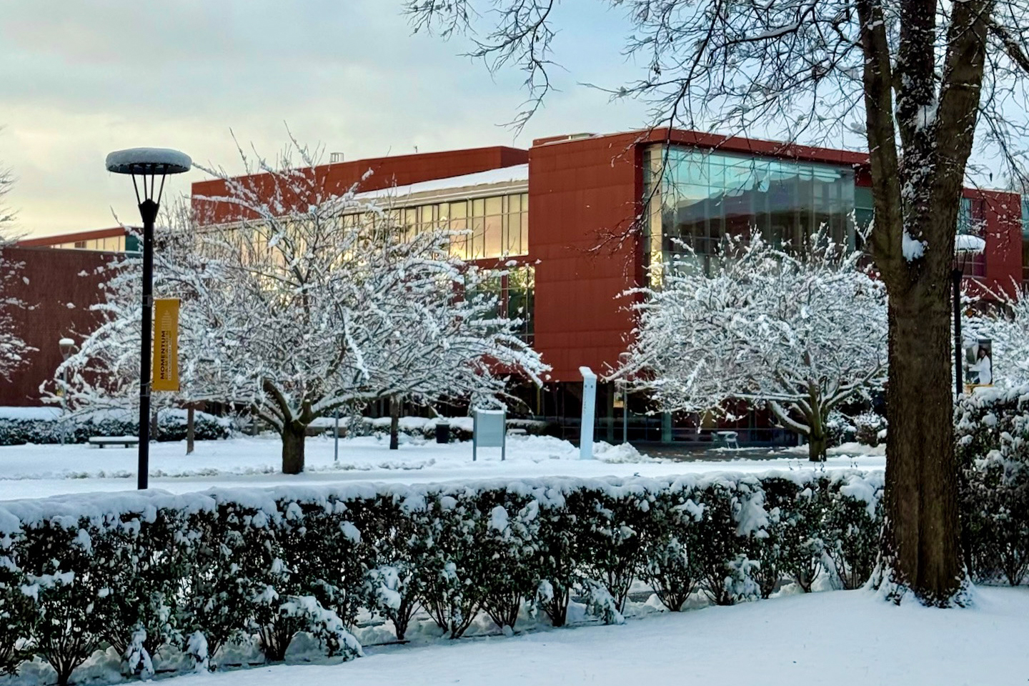 Snow covers the ground and tree limbs in front of the Nexus Building.