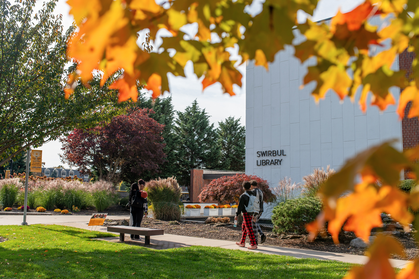 Sparkling gold maple leaves frame a shot of the library as students walk by.