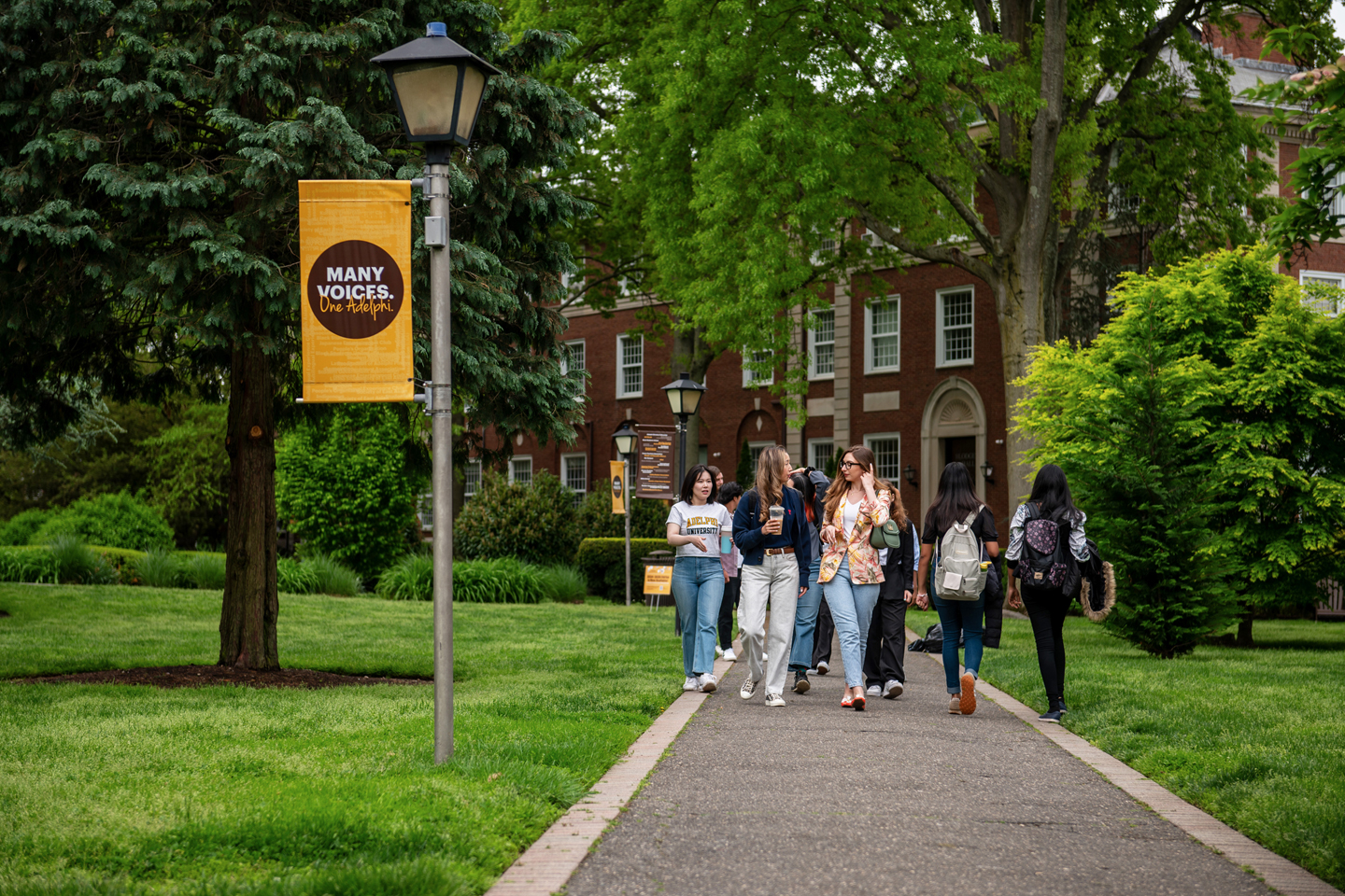 A group of students walk on the sidewalk under a lush cover of foliage.