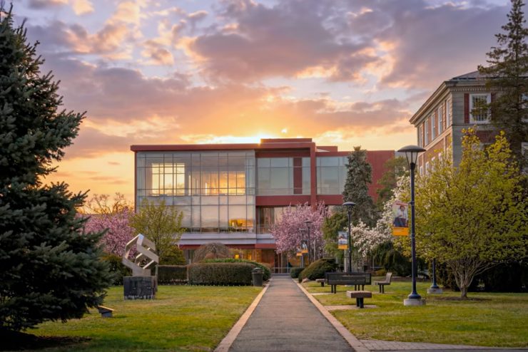 White cherry blossoms frame a view of the Nexus Building.