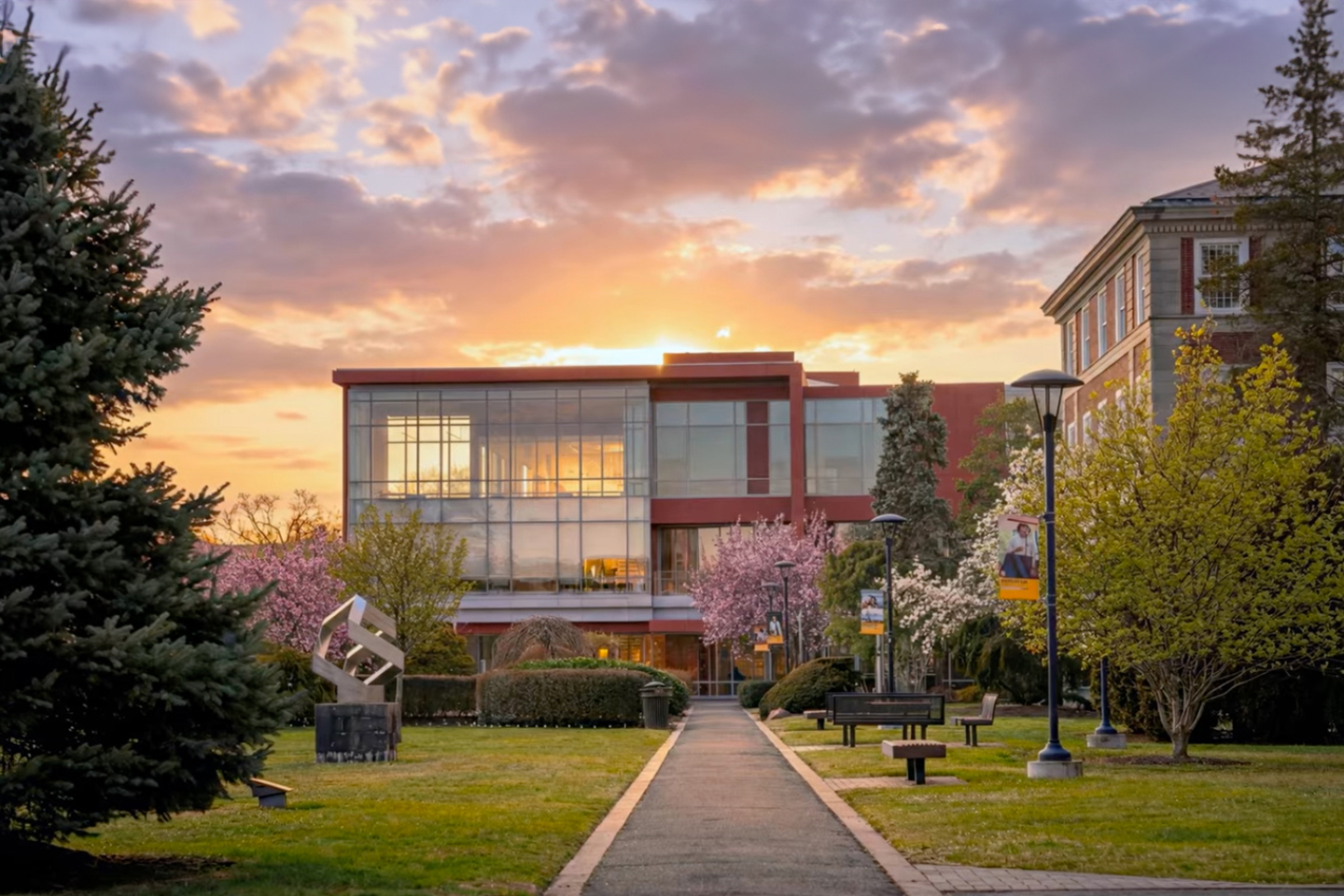 A view from the walkway leading to the building, which is fronted by two cherry trees in full bloom.