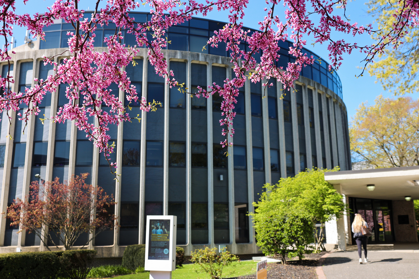 The circular building, as seen with the limb with cherry blossoms hanging in the foreground.