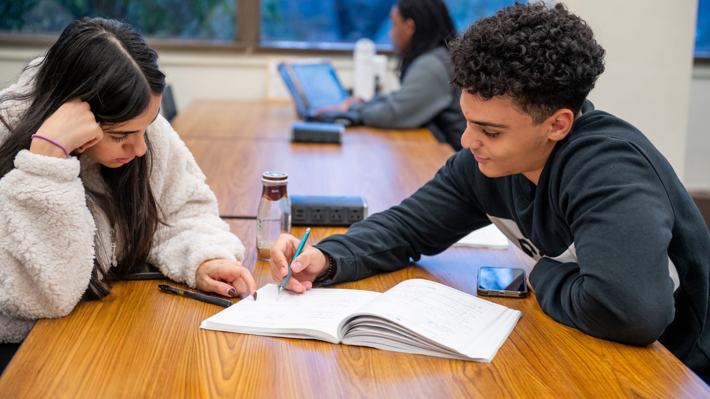 Two students study with books open in Swirbul Library at Adlephi University.
