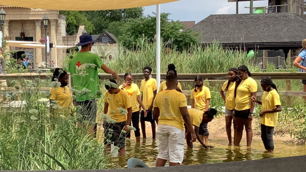 A group of students by the shore doing fieldwork