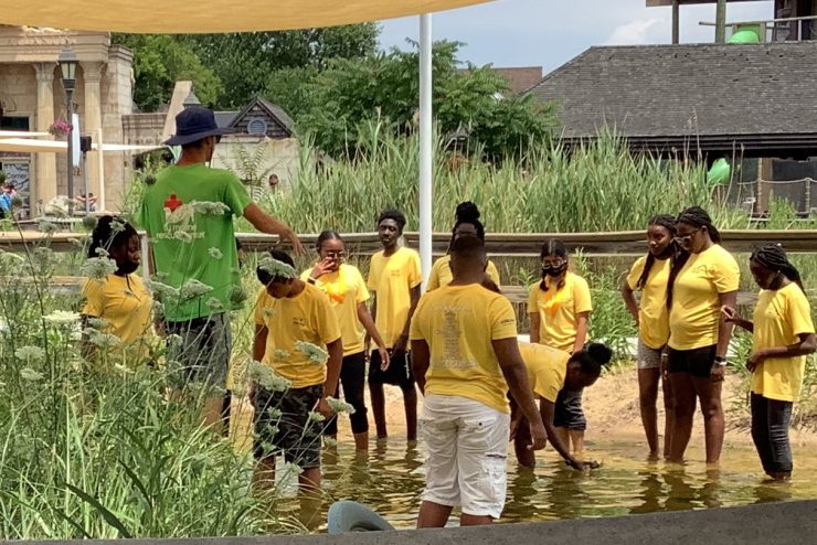 A group of students by the shore doing fieldwork - Students in the water listening to instruction