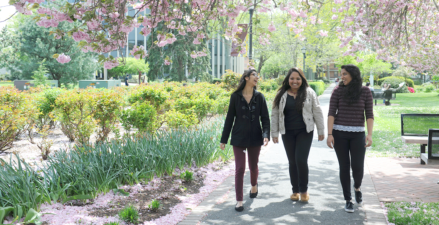 Accepted Transfer Students Adelphi University