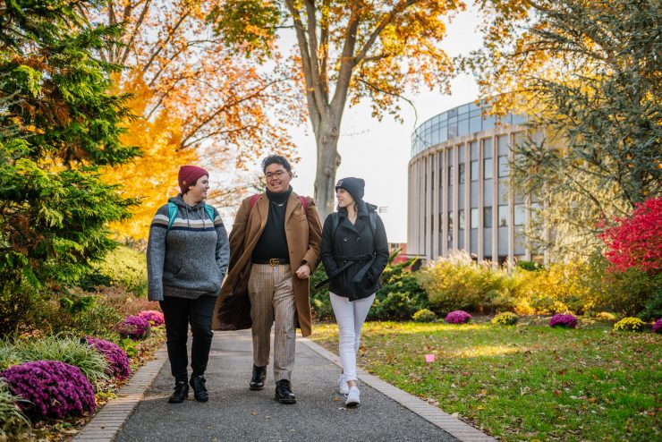 Students walking on campus in the fall.