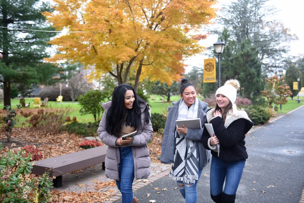 Summer Orientation Adelphi Accepted