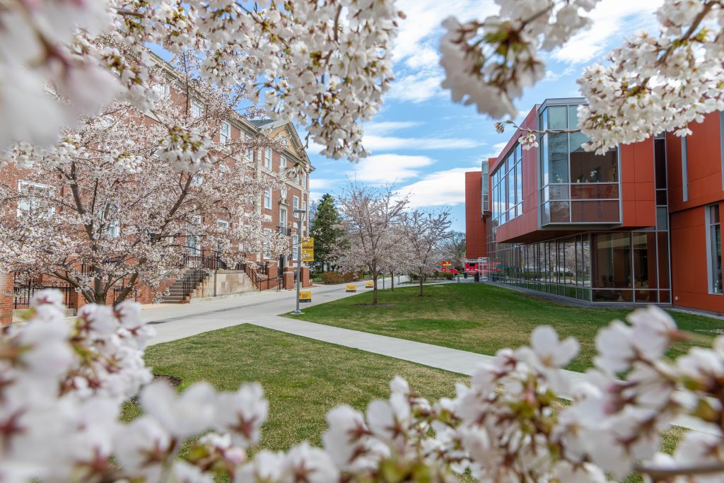 Farmingdale State College Graduate Study Partnership Adelphi University Farmingdale State College Graduate Study Partnership Adelphi University