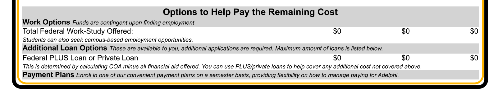 Options to Help Pay the Remaining Cost section of the College Financing Plan