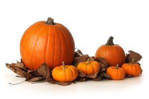 Group of pumpkins
