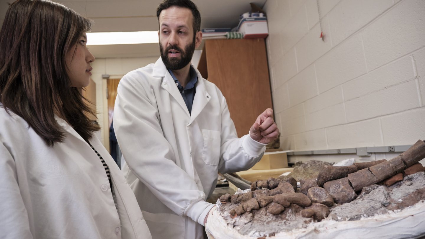 Adelphi student works with professor Miachel D'Emic in the Paleontology Lab