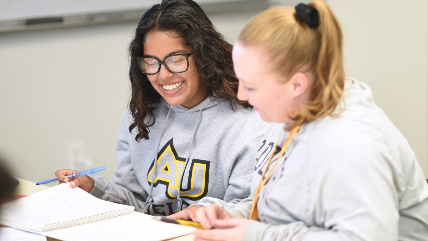 Pre-college high school program: Two girls work together on a project