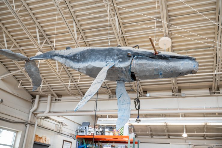 Student work of a whale sculpture in the Klapper Fine Arts Facility sculpture studio