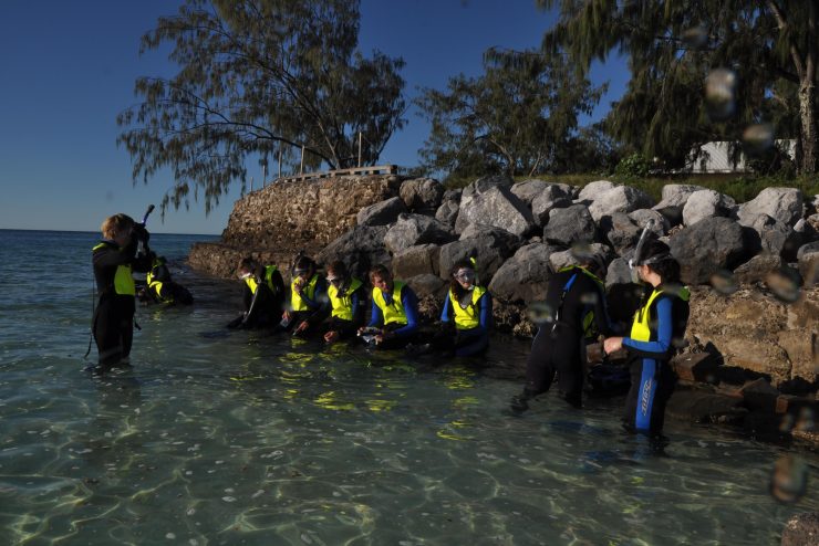 Students in the water. Field research in Australia during an Adelphi faculty-led trip.