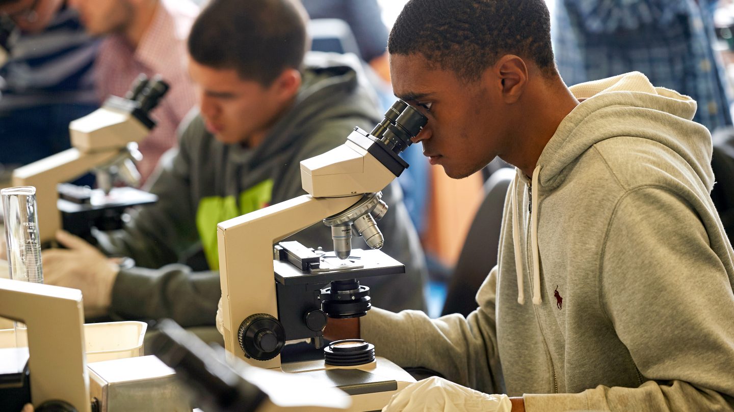 Students in science class look through microscopes.