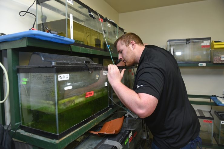 Adelphi Environmental Science student working with tanks of reptile specimens 