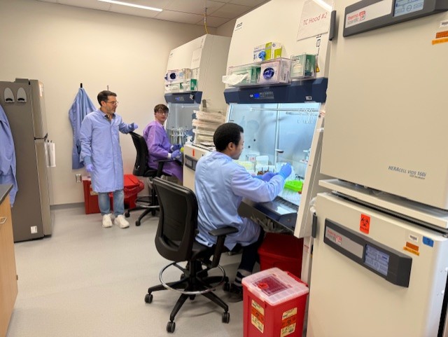 Adelphi student Ryan Klass in the lab during an internship at the Institute for Translational Research.