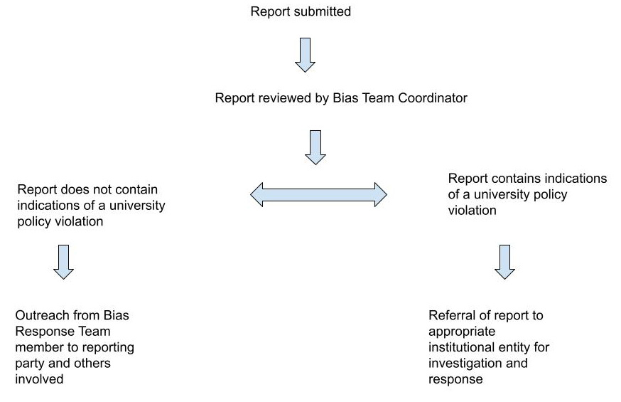 Flow chart of bias reporting protocol at Adelphi University.