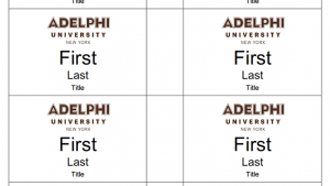 Name s Brand Identity Adelphi University Name s Brand Identity Adelphi University