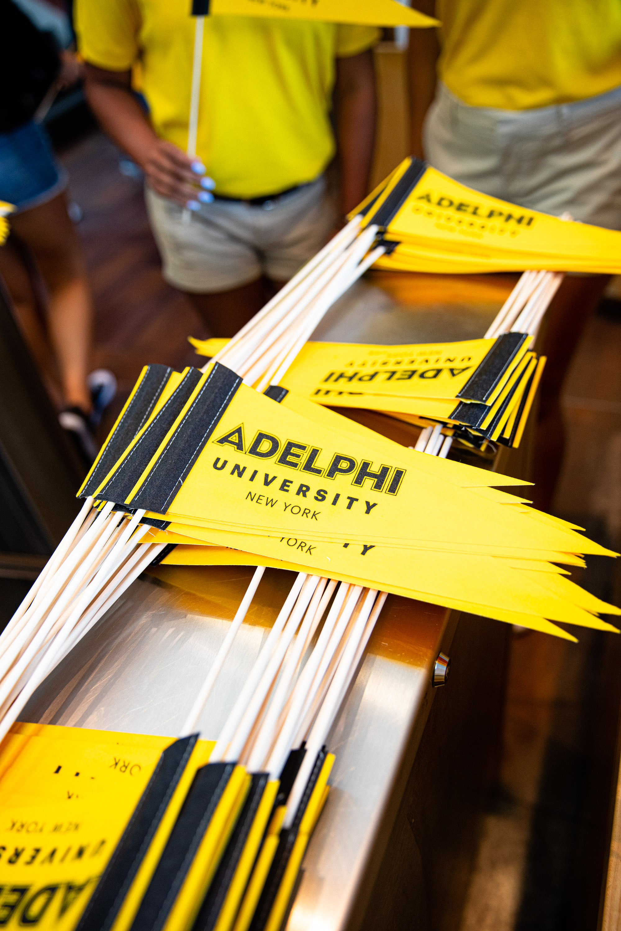 submit-social-media-content-style-guide-and-brand-center-adelphi