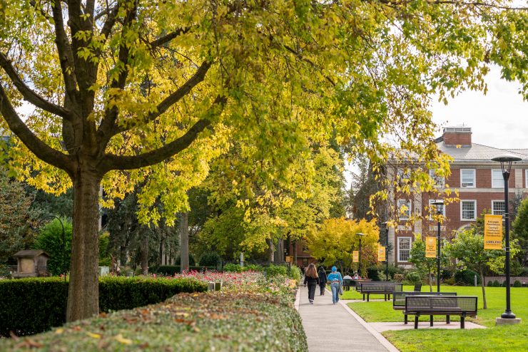 Adelphi fall campus 2023 - trees changing colors and students walking on the pathways