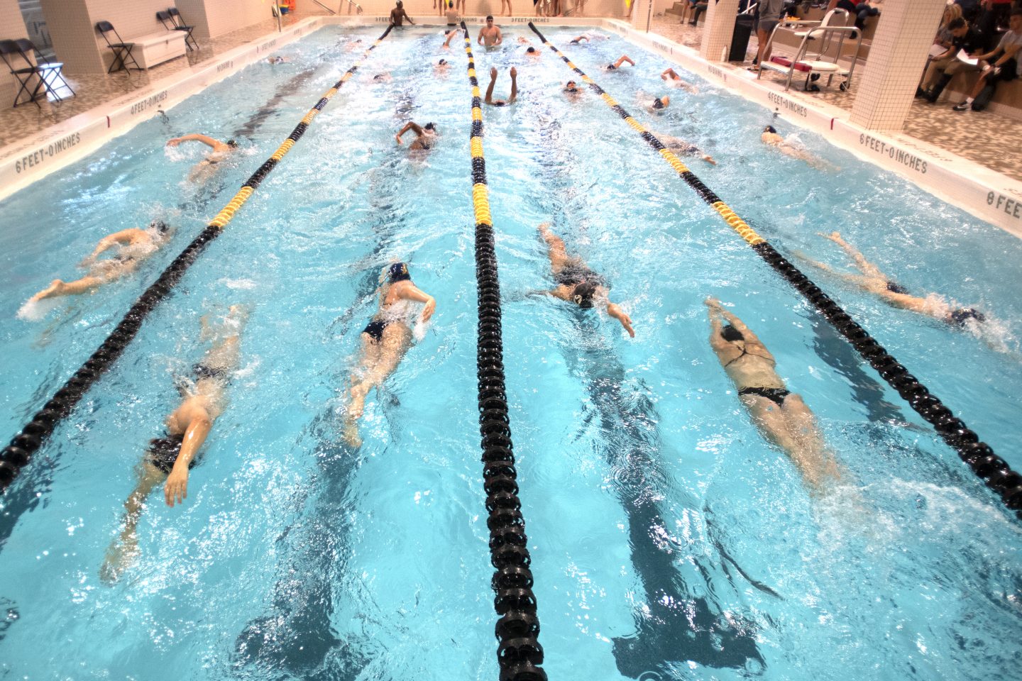 Swimming at Adelphi