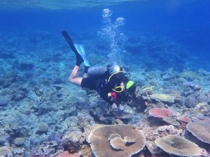 Scuba diver with fins and an air tank swims in blue water near the ocean floor with sea life.