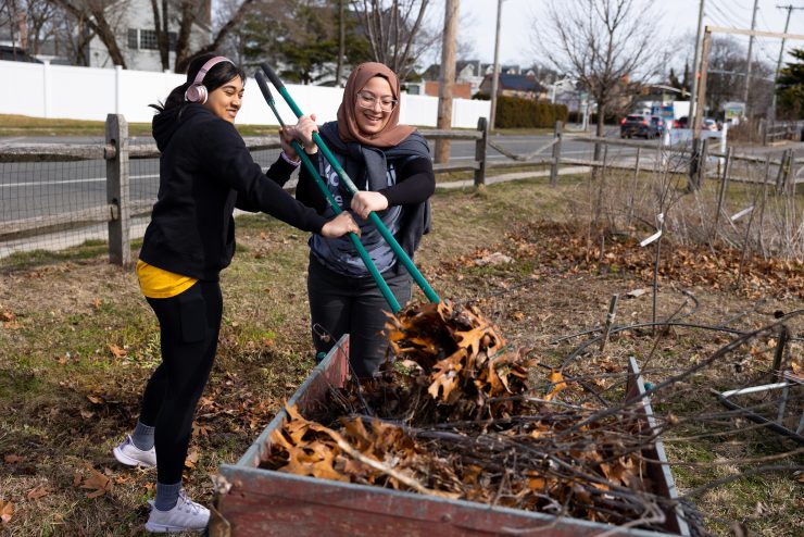 Panther Day of Service at Adelphi - two students remove leaves for a community garden on campus.