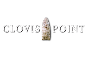 Clovis Point