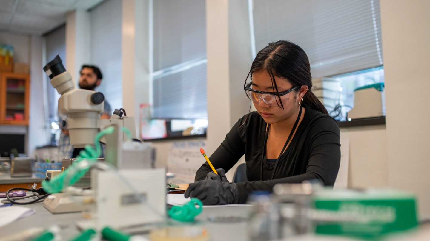 Inside a pre-college students through a biology lab