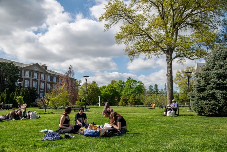 Students studying on the lawn at Adelphi in Garden City NY