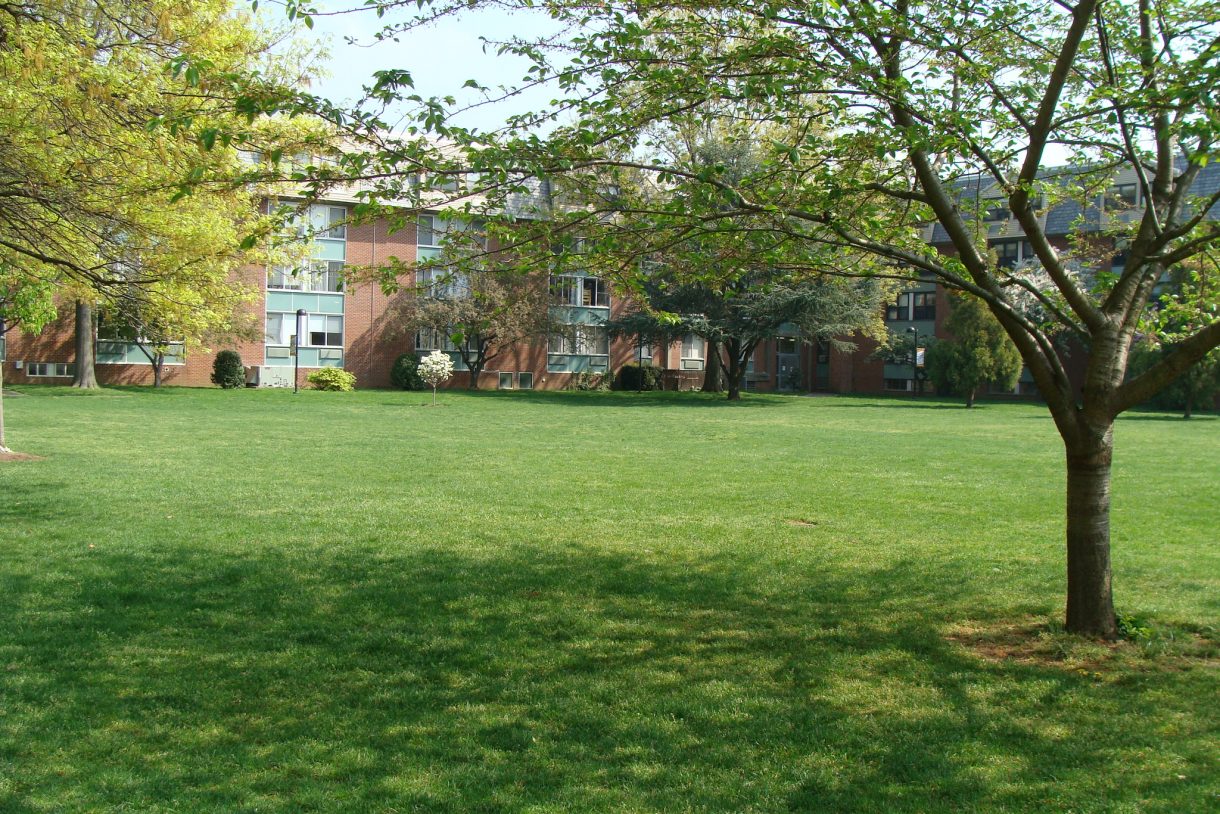 OnCampus Living Adelphi University Residence Halls