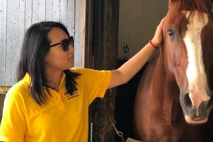 Volunteering with horses