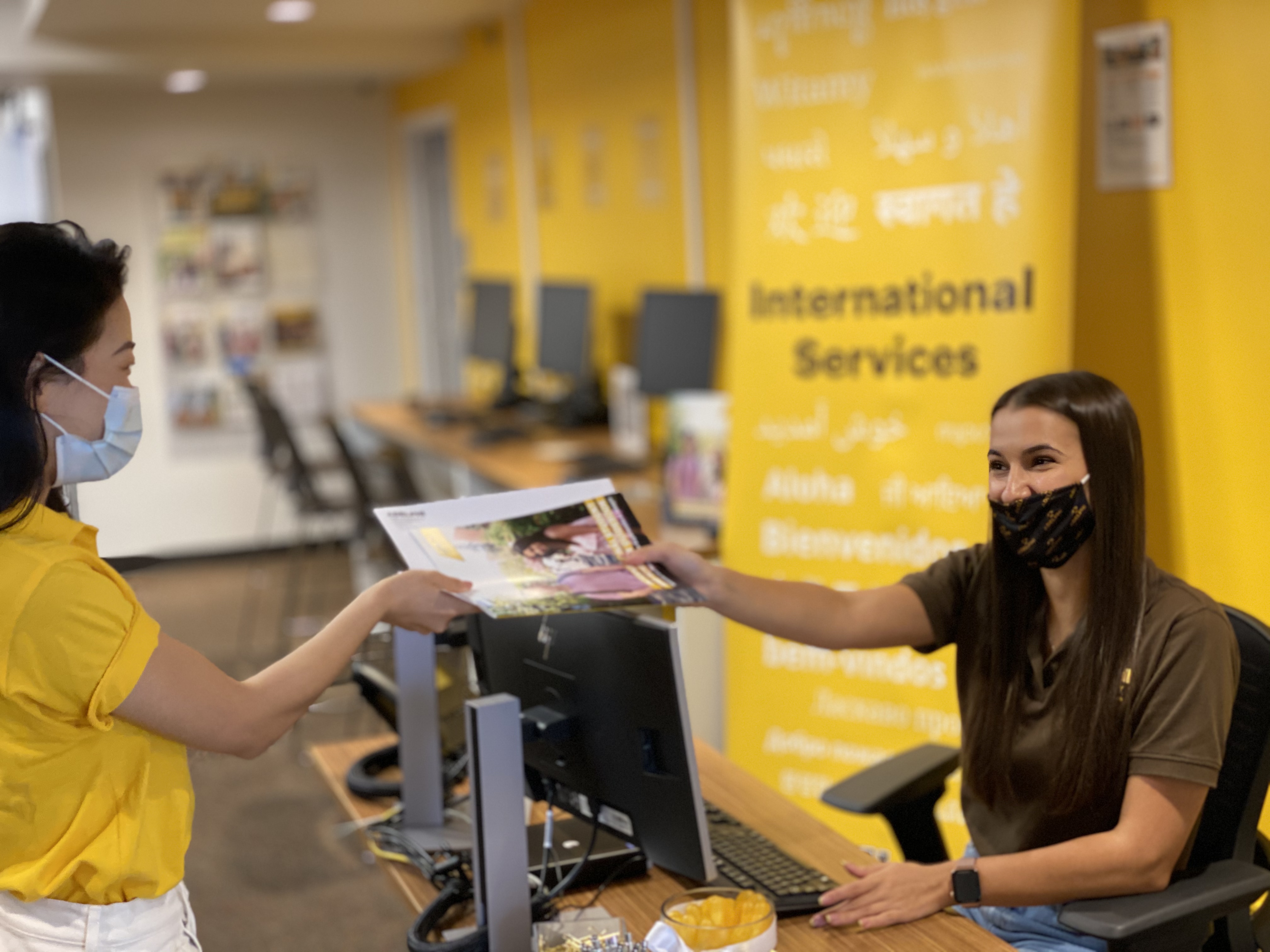 Employment | International Students | Adelphi University