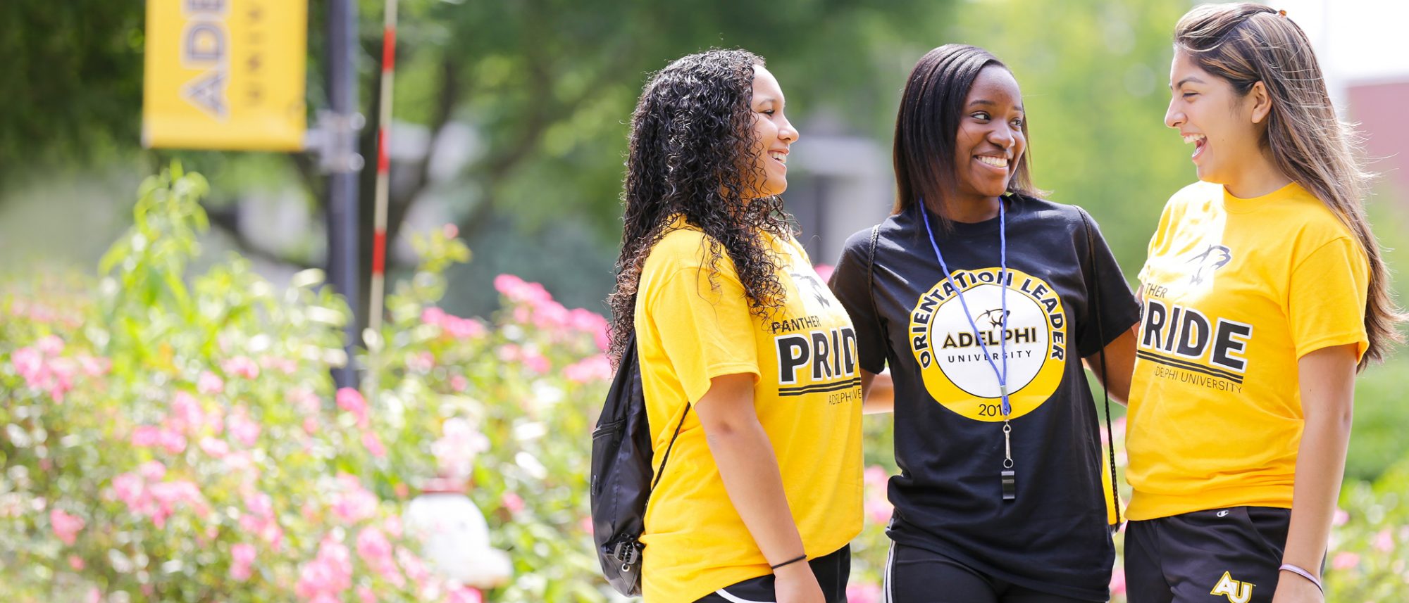 Program Progression International Services