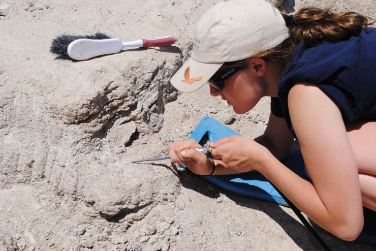 An Adelphi student working on an archeological dig.