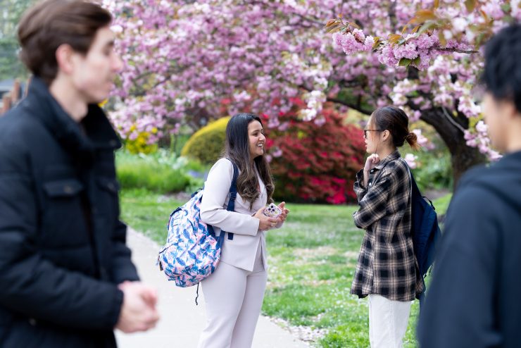 International students walking at Adelphi in the cherry blossoms