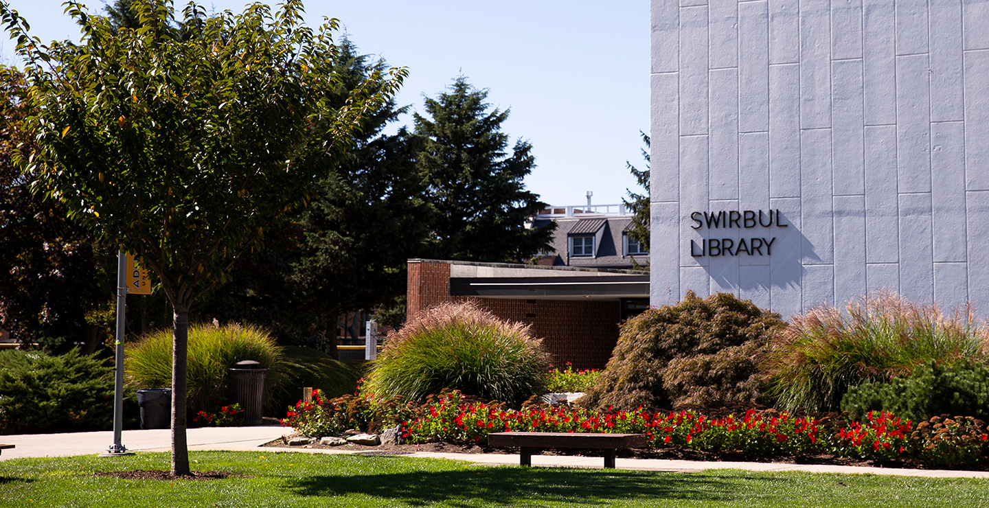 Adelphi University Libraries