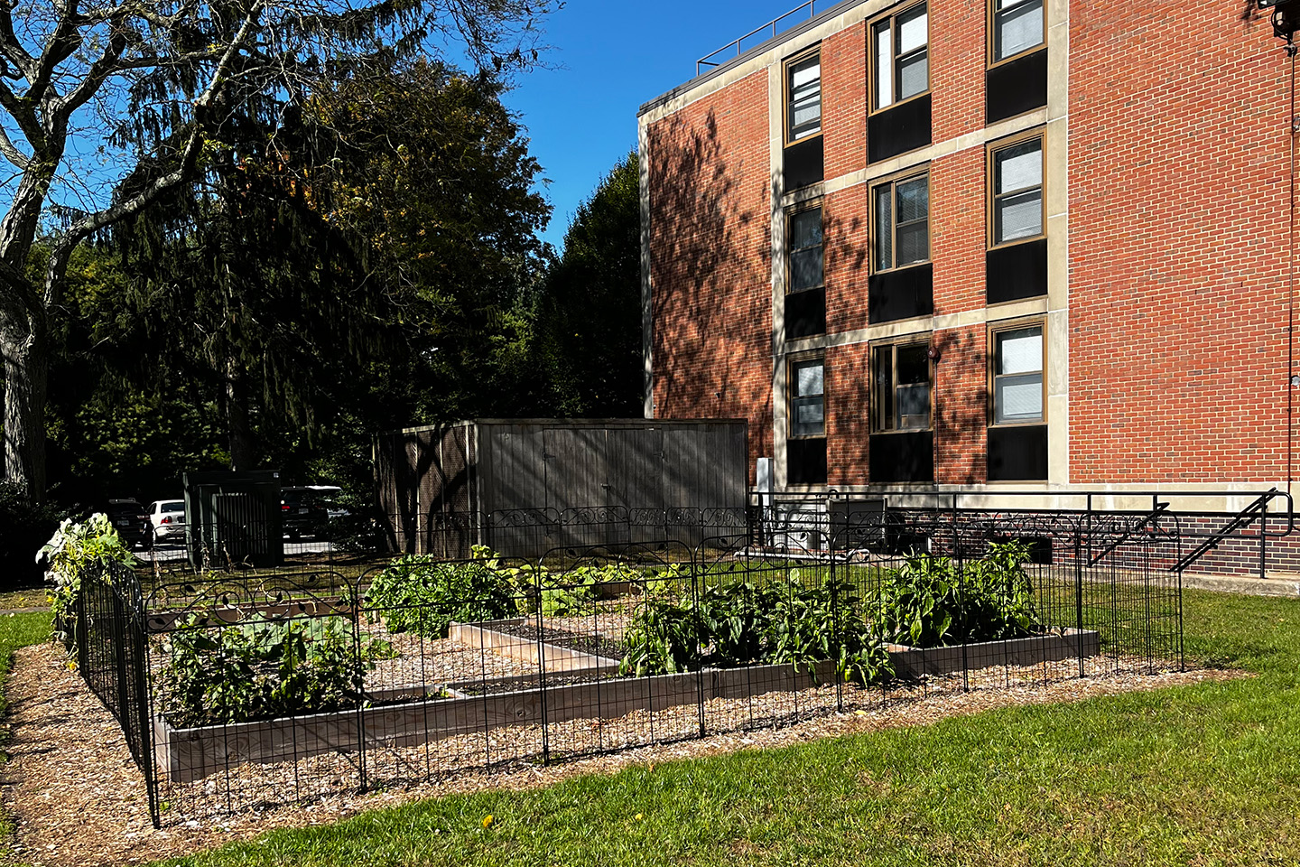 External view of the Adelphi University Community Garden behind the Linen Hall residence hall.