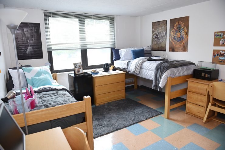 Chapman Hall at Adelphi - Interior Dorm Room