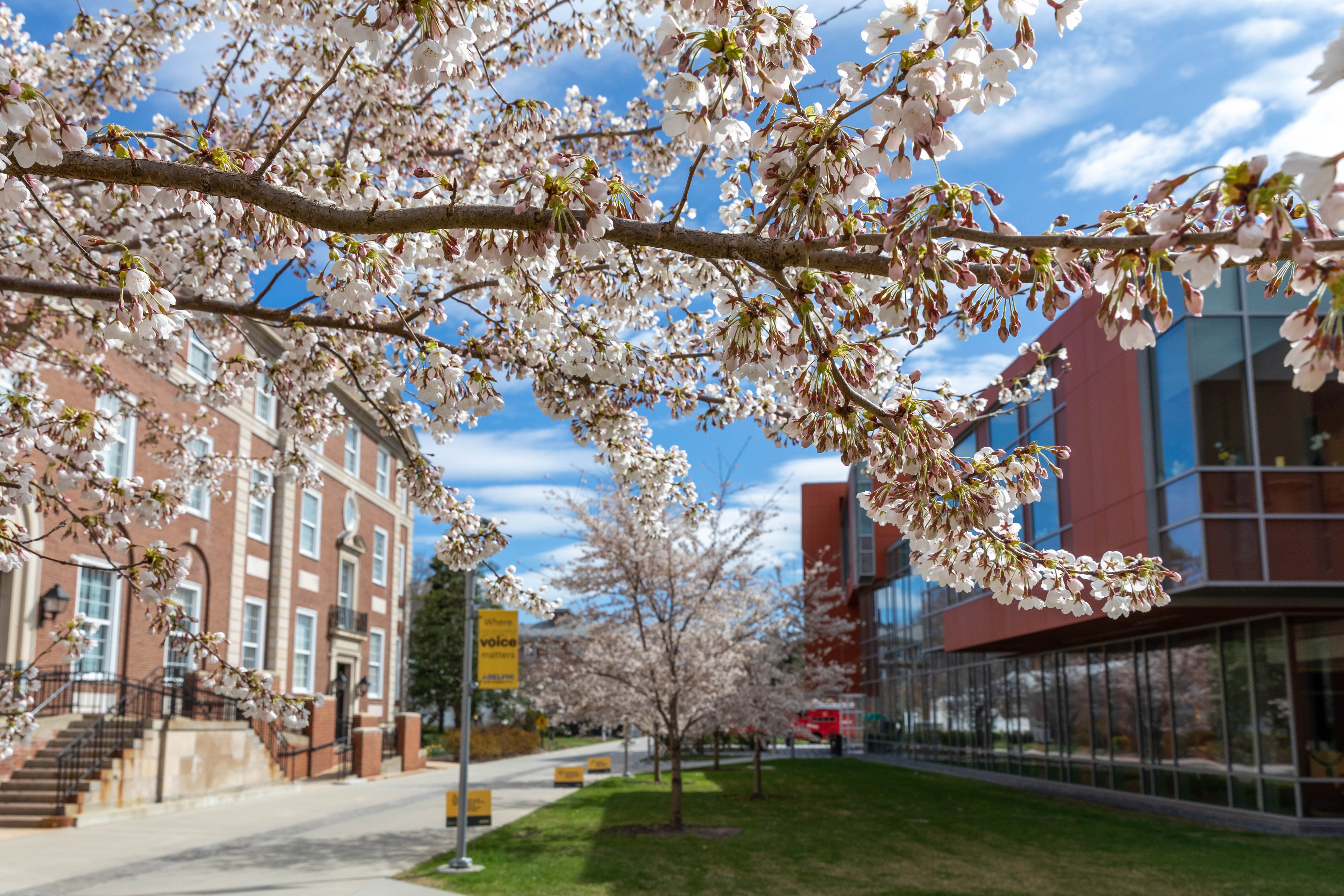 Office of Academic Research, Assessment, and Accreditation (OARAA