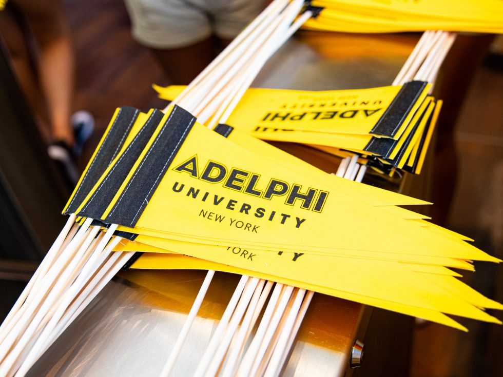 Adelphi Pennants - flags with the University Logo