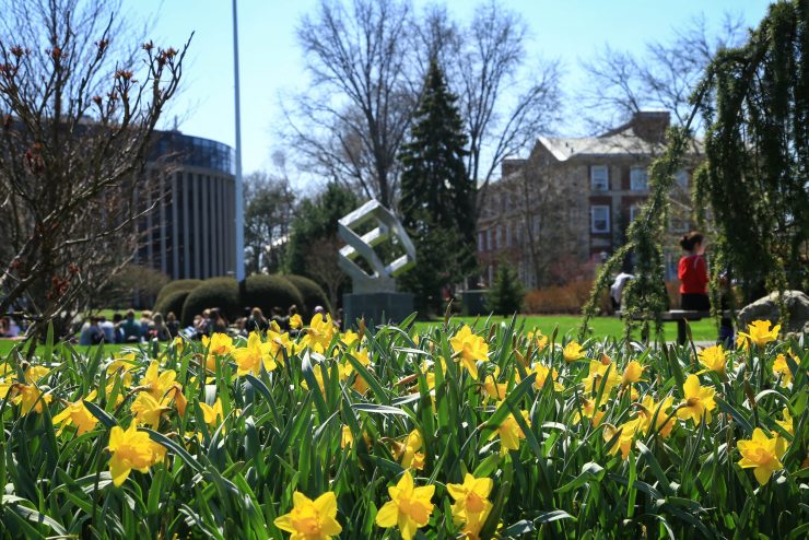 Adelphi campus - springtime