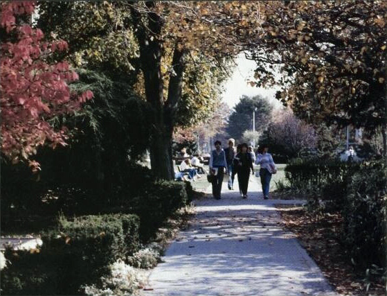 Adelphi Campus 1985 - Students walking on the footpath