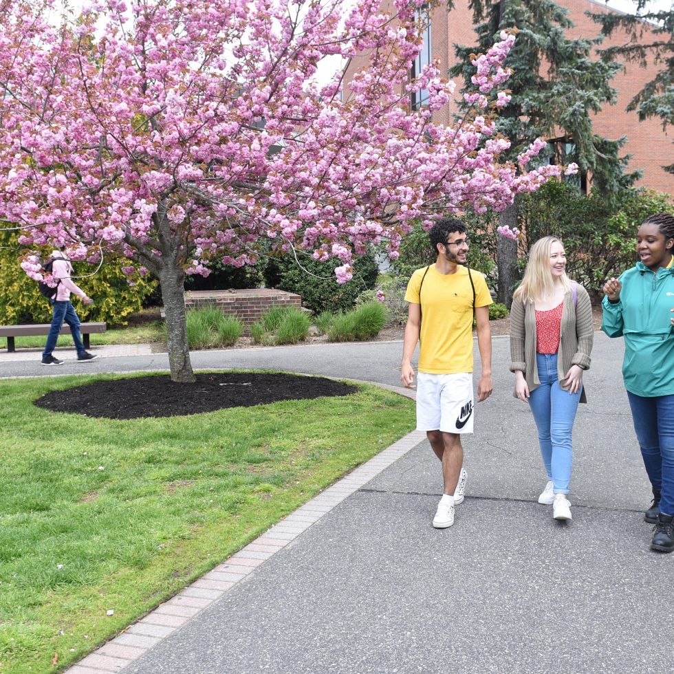 Adelphi students walking together on campus in front of the University Center